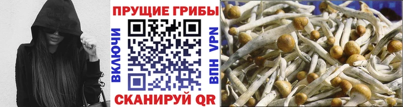 как найти закладки  блэк спрут сайт  Галлюциногенные грибы прущие грибы  Ессентуки 