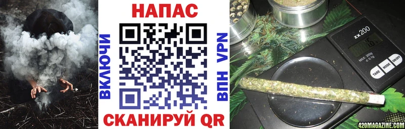 Бошки Шишки семена  цены   Ессентуки 
